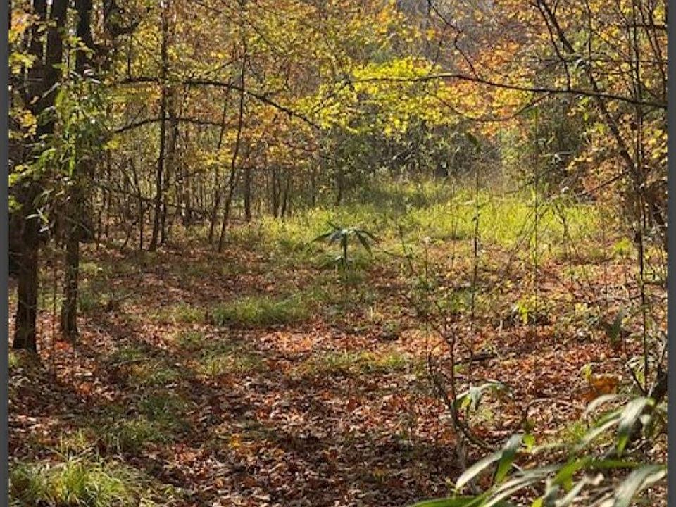 2nd image of 24 Hidden Pines Loop