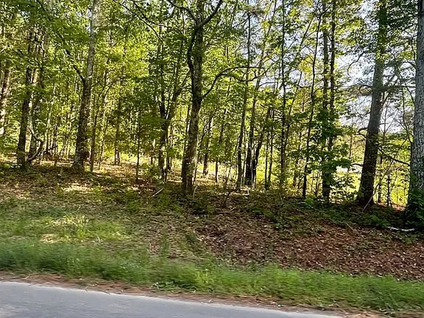 0 Lower Gordon Springs Rd, Rocky Face, GA 30740