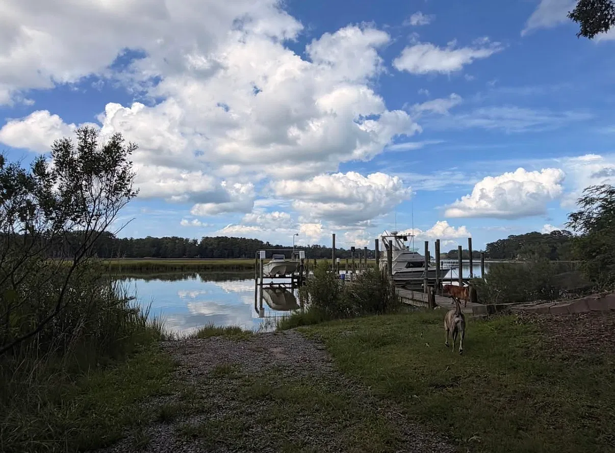 3 bed, 2300 sqft, $3,250 — Photo 4