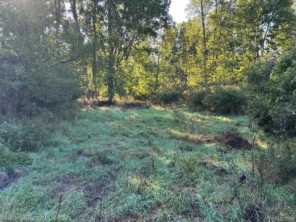 0 Austin Farms Dr Parcel C, Ortonville, MI 48462
