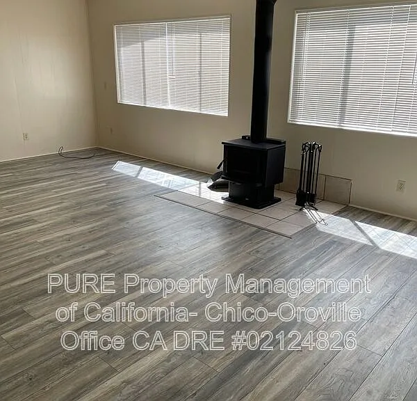 533 Silver Leaf Dr — Photo 5