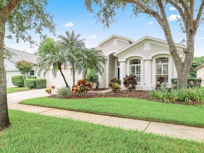15533 Martinmeadow Dr, Lithia, FL, 33547