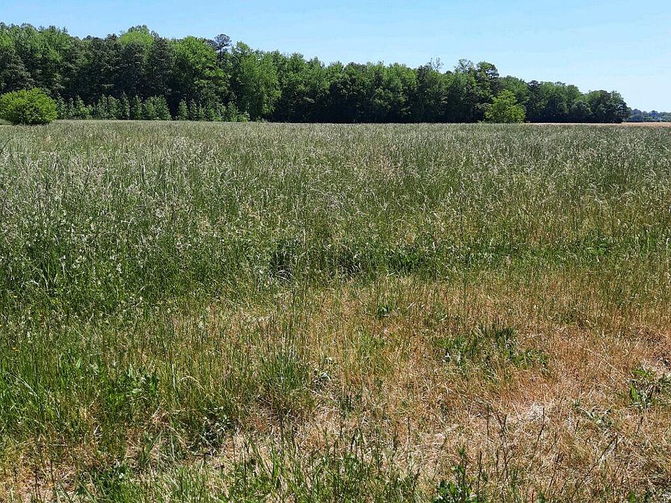 2nd image of Zoar Rd