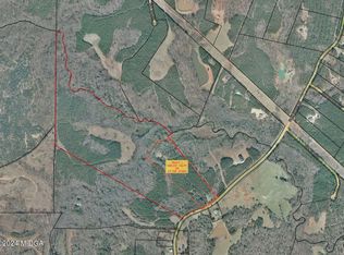 0 Blue Store Rd TRACT 1, Forsyth, GA 31029