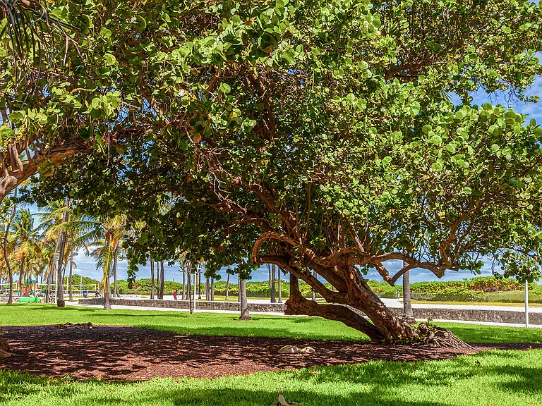 Take a quick drive to Lummus Park on the Atlantic side of the island, just 7 minutes from art deco installations, Biscayne Bay, and beach volleyball.