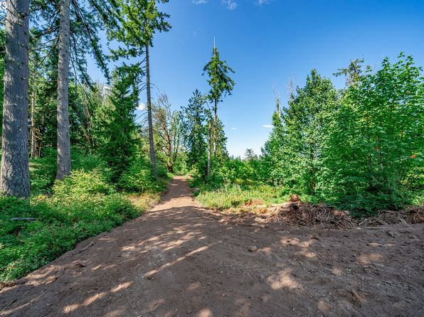 0 S Silver Lake Rd #1, Castle Rock, WA 98611