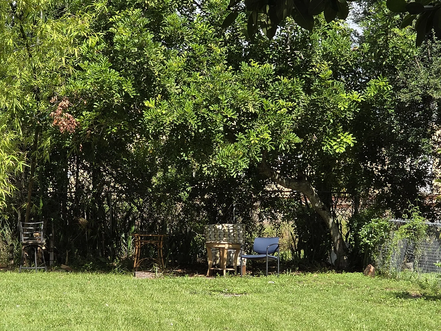 3 bed, 1400 sqft, $3,300 — Photo 3