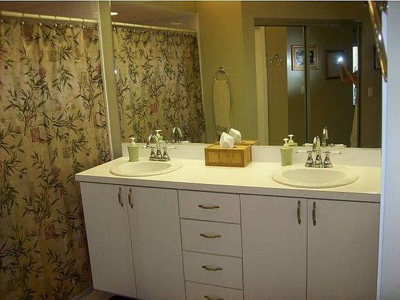Master bath double sinks