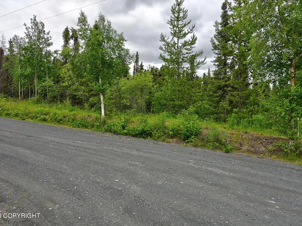L6a Raven St, Cooper Landing, AK 99572