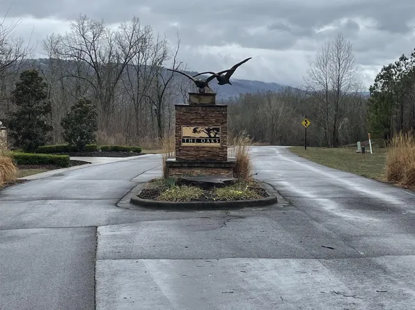 0 Lookout Mountain Dr, Scottsboro, AL 35769