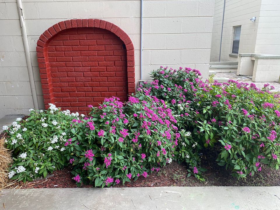 4565 Lexington Avenue Apartment Rentals Jacksonville, FL Zillow