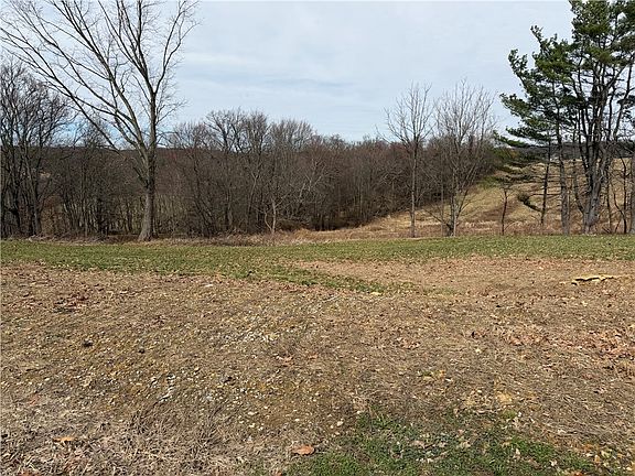 5th image of 410 Elderberry Ln