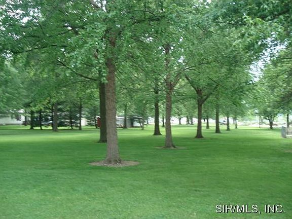Great Shaded Lawn