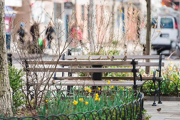 Rented by REAL New York | media 8