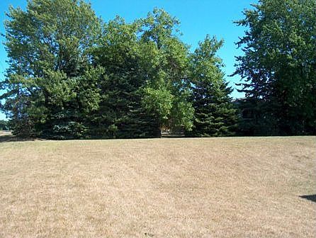 Wooded backsplash in this backyard