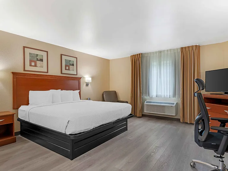 Studio Suite - 1 King Bed