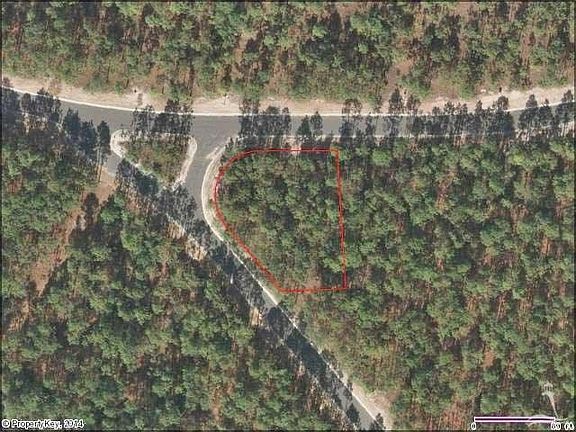 5th image of L-155 Moss Hammock LOT 155