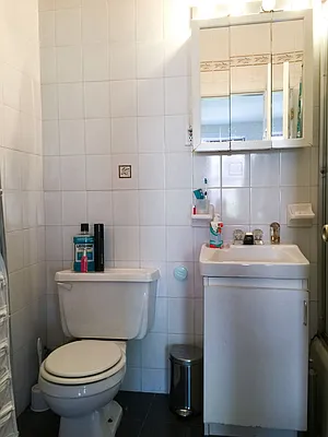 Rented by Francine Realty | media 15
