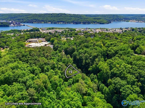 LOT 19 Lusk St, Guntersville, AL 35976