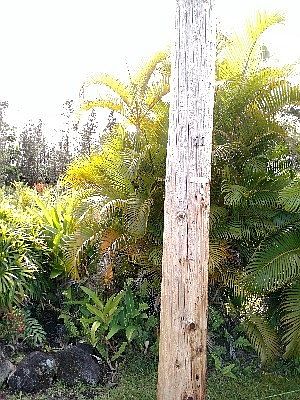 5th image of 15-1423 9th Ave Lot 1871