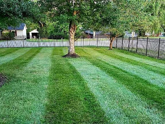 Lawn Rehab