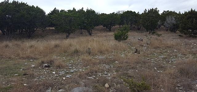 2nd image of 807 Landmark Rd