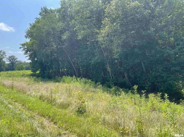 0 State Route 146 St W, Vienna, IL 62995