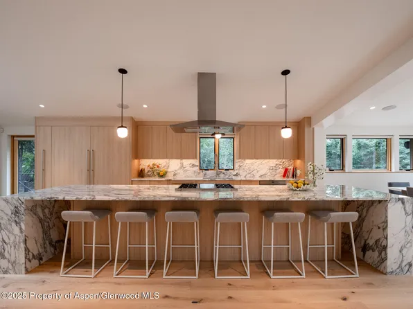 51 Roaring Fork Dr, Aspen, CO 81611