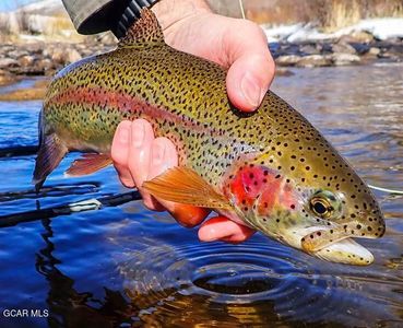 23 Wild Strawberry Drive #6, Granby, CO, 80446