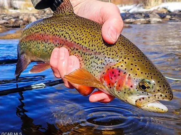 23 Wild Strawberry Drive #6, Granby, CO 80446