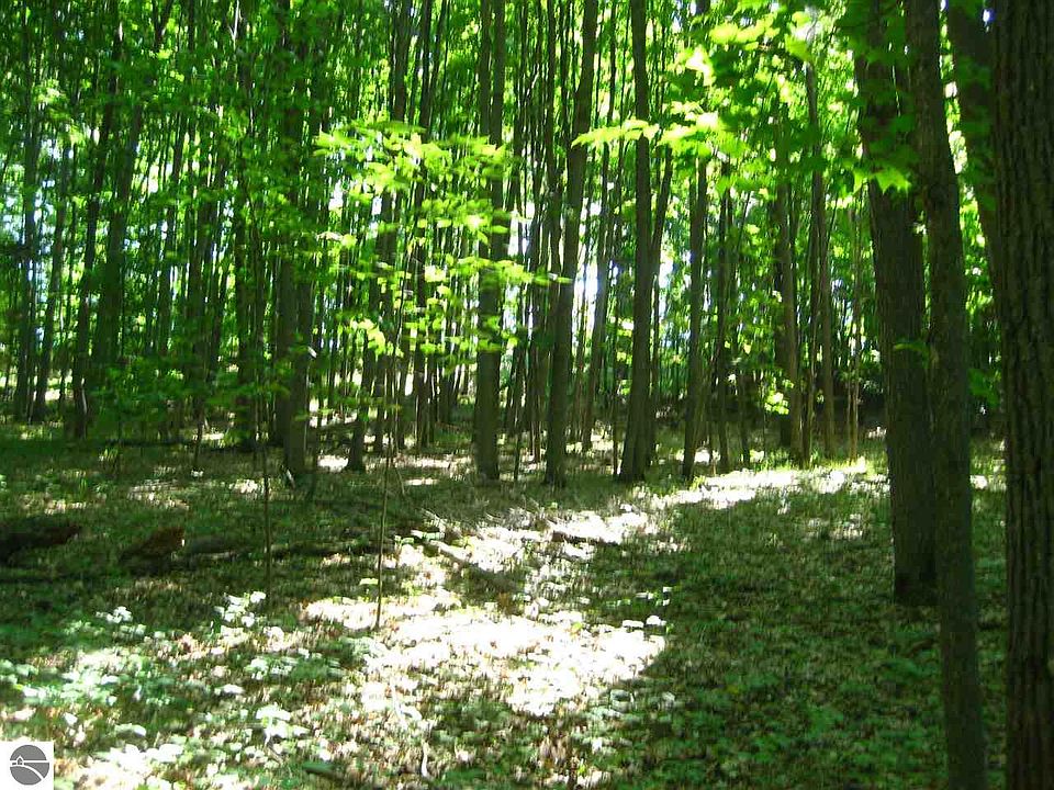 1st image of 0 W Cheney Woods Trl