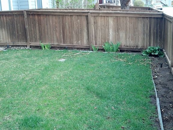 Garden area