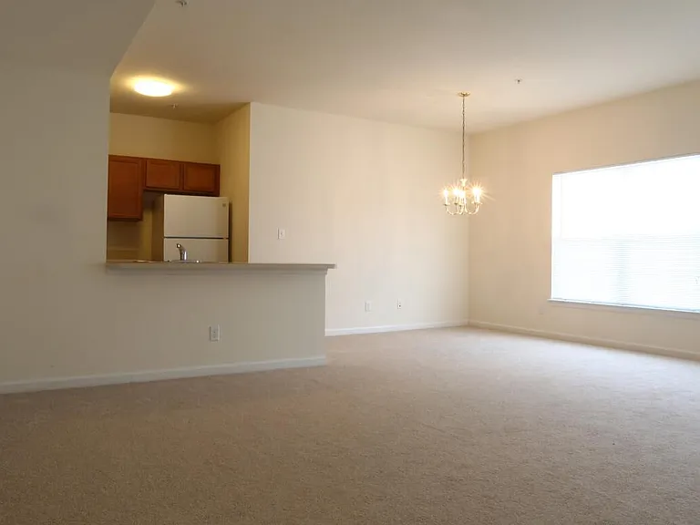 Sunnyside Apartments — Photo 8