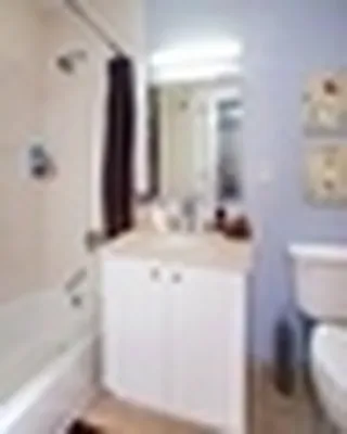 Rented by LCOR (Property Manager) | media 36