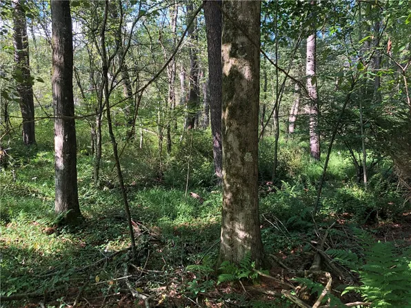 142 William Penn Trl, Chalk Hill, PA 15421