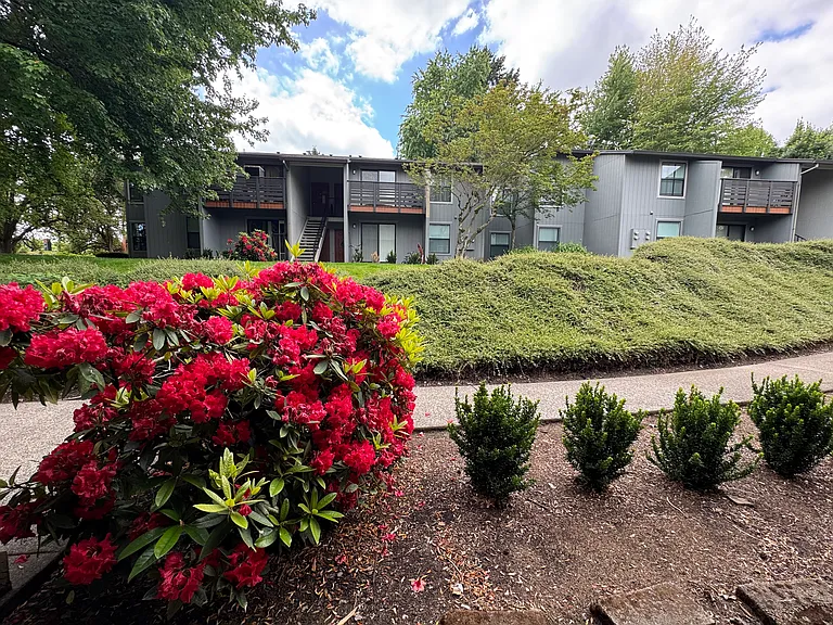 Meridian Village — Photo 23
