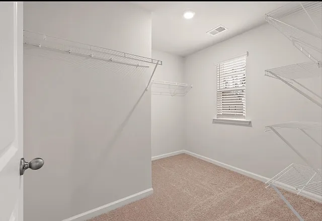 241 Sweet Cherry Ln — Photo 5
