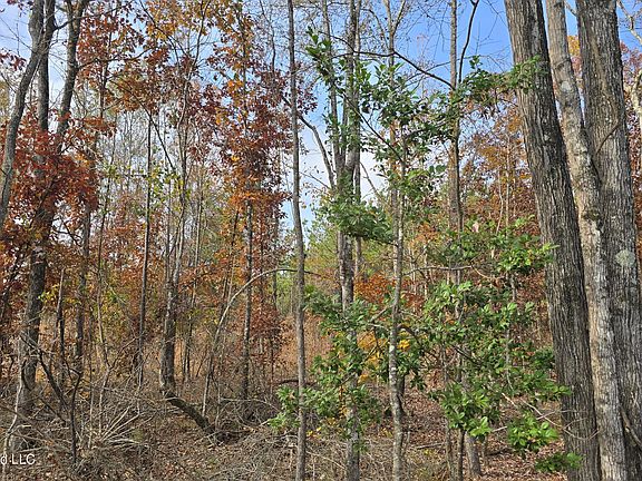 3rd image of Old Trace Rd