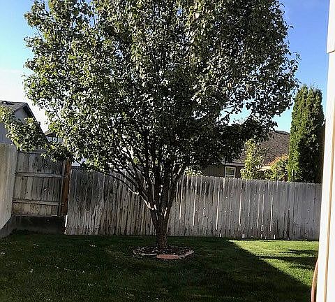2nd image of 5402 Jefferson Dr