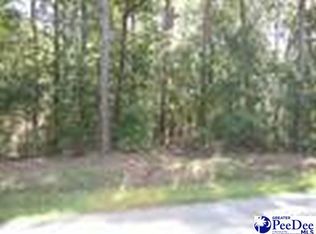 Kings Road Lots, Florence, SC 29506
