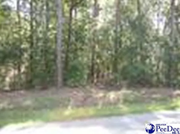 Lots Quinby Frst, Florence, SC 29506