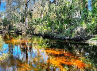 12620 Amber Ln, Lithia, FL 33547