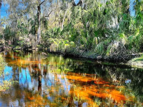 12620 Amber Ln #2, Lithia, FL 33547