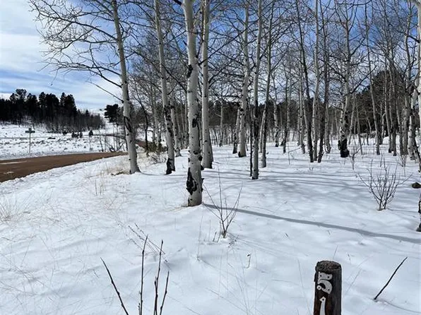 111 Summit Dr, Florissant, CO 80816