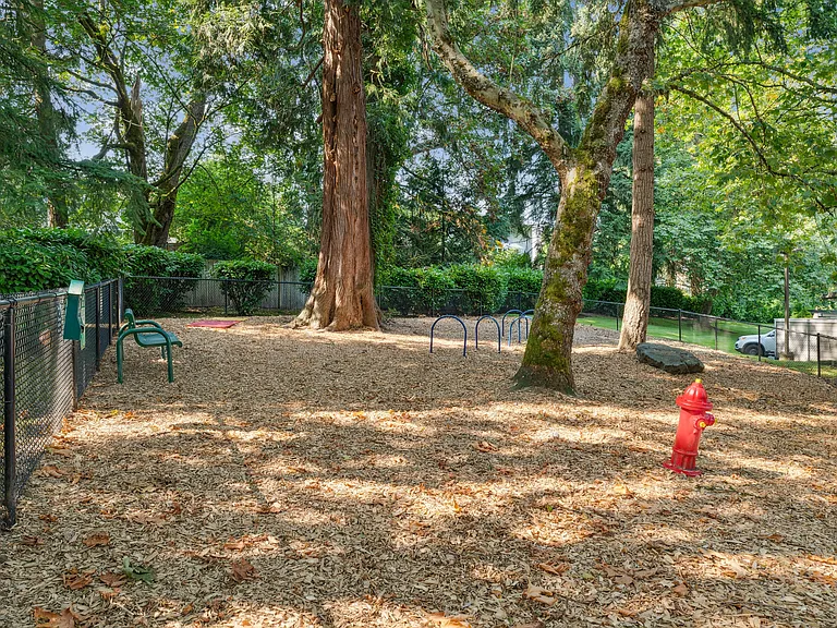 Skyline Redmond — Photo 32