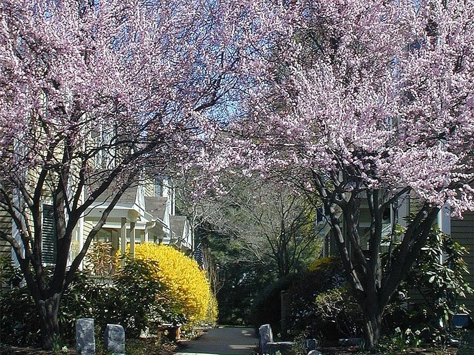 1st image of 144 Cypress St #B