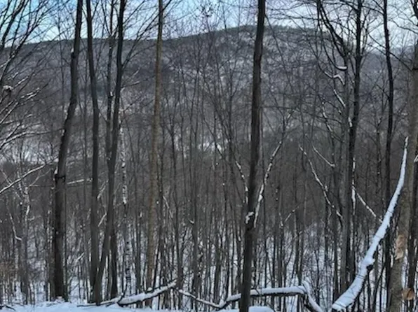 0 Town Highway 02, Middletown Springs, VT 05757