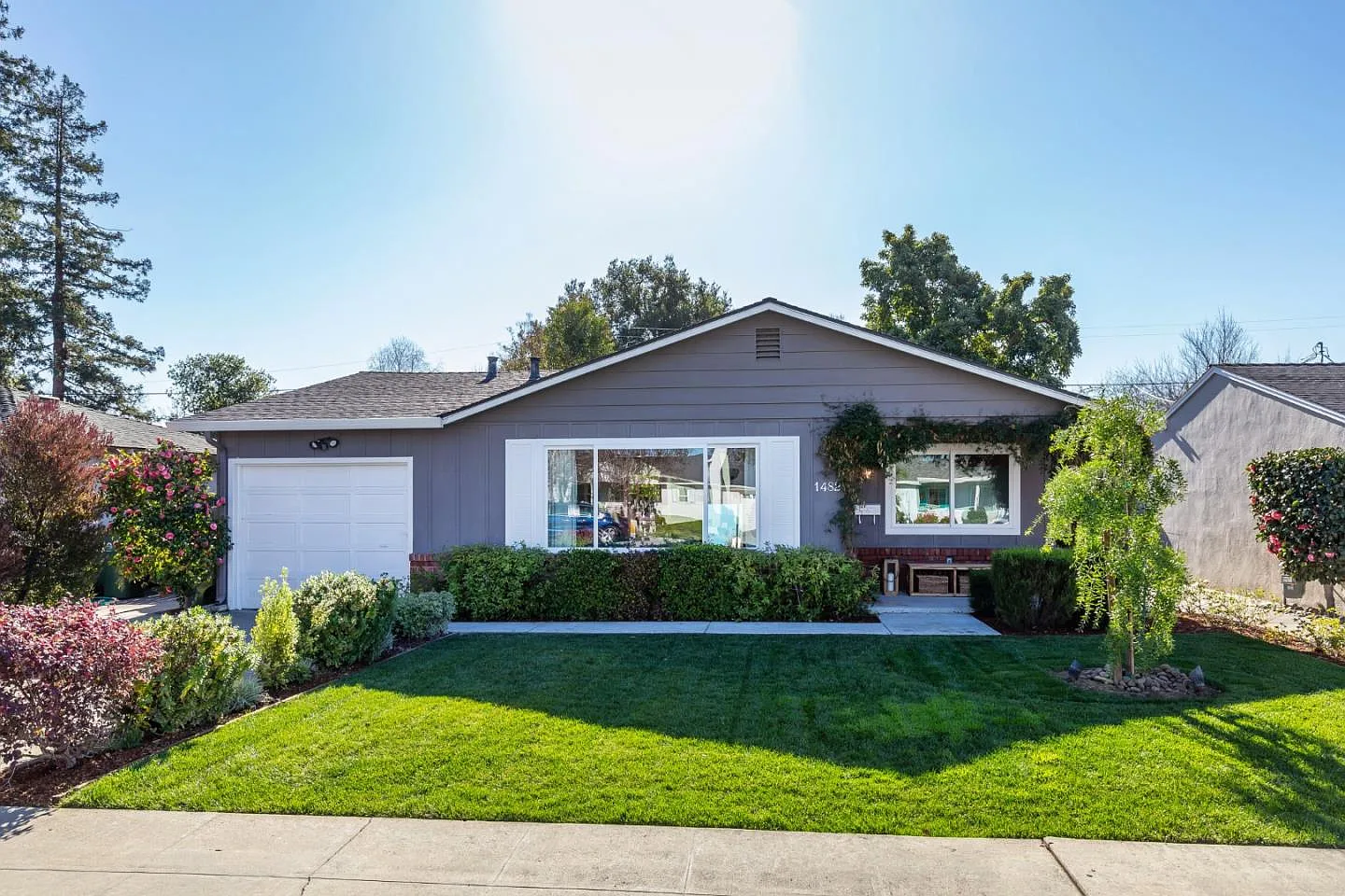 1482 Maxine Ave photo 1