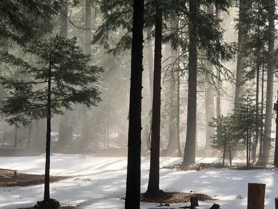 Side Bottom Rd, Shingletown, CA, 96088