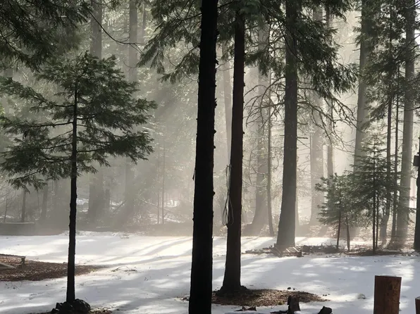Side Bottom Rd, Shingletown, CA 96088